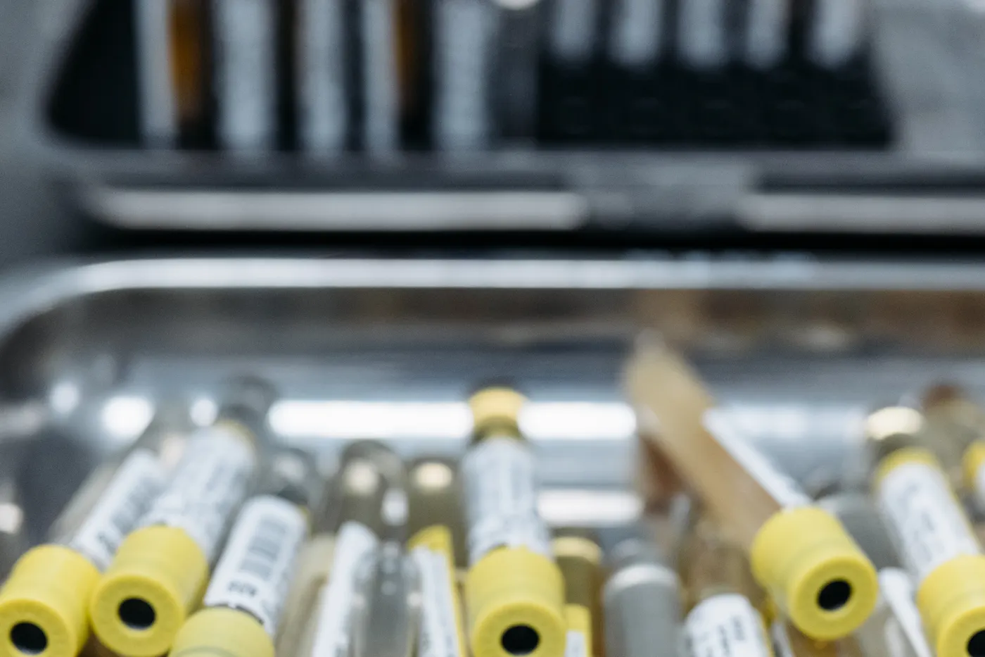 Blood samples in laboratory test tubes prepared for medical analysis