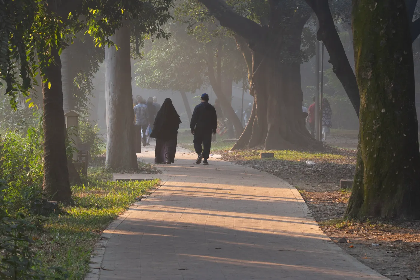People walking along a tree-lined park path in soft morning light